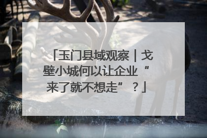 玉门县域观察｜戈壁小城何以让企业“来了就不想走”？