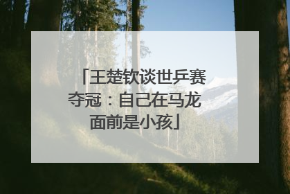 王楚钦谈世乒赛夺冠：自己在马龙面前是小孩
