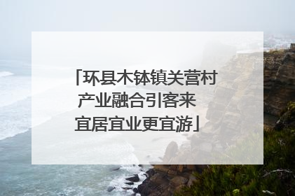 环县木钵镇关营村 产业融合引客来 宜居宜业更宜游