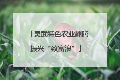 灵武特色农业翻腾振兴“致富浪”