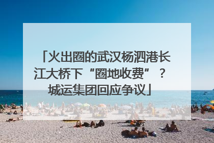 火出圈的武汉杨泗港长江大桥下“圈地收费”？城运集团回应争议