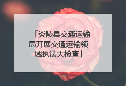 炎陵县交通运输局开展交通运输领域执法大检查
