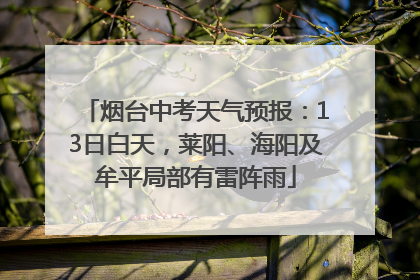 烟台中考天气预报：13日白天，莱阳、海阳及牟平局部有雷阵雨