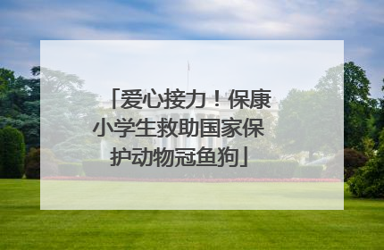 爱心接力！保康小学生救助国家保护动物冠鱼狗