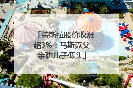特斯拉股价收涨超3%：马斯克父亲劝儿子低头