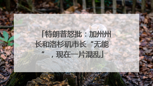 特朗普怒批：加州州长和洛杉矶市长“无能”，现在一片混乱