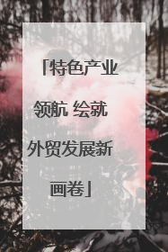 特色产业领航 绘就外贸发展新画卷