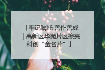 牢记嘱托 善作善成｜高新区华苑片区擦亮科创“金名片”
