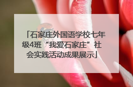 石家庄外国语学校七年级4班“我爱石家庄”社会实践活动成果展示