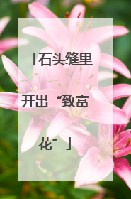 石头缝里开出“致富花”