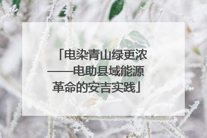 电染青山绿更浓——电助县域能源革命的安吉实践
