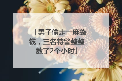 男子偷走一麻袋钱，三名特警整整数了2个小时