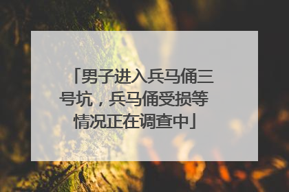 男子进入兵马俑三号坑，兵马俑受损等情况正在调查中