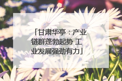甘肃华亭：产业链群蓬勃起势 工业发展强劲有力