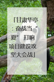 甘肃华亭：奋战当“夏” 打响项目建设攻坚大会战
