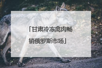 甘肃冷冻禽肉畅销俄罗斯市场