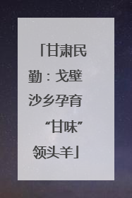 甘肃民勤：戈壁沙乡孕育“甘味”领头羊
