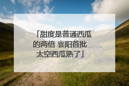 甜度是普通西瓜的两倍 襄阳首批太空西瓜熟了