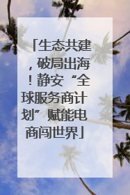生态共建，破局出海！静安“全球服务商计划”赋能电商闯世界