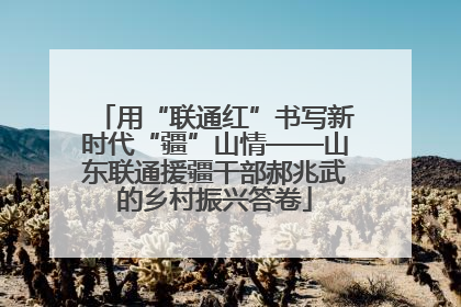 用“联通红”书写新时代“疆”山情——山东联通援疆干部郝兆武的乡村振兴答卷
