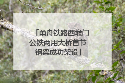 甬舟铁路西堠门公铁两用大桥首节钢梁成功架设