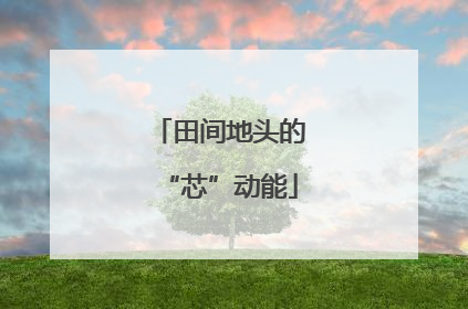 田间地头的“芯”动能