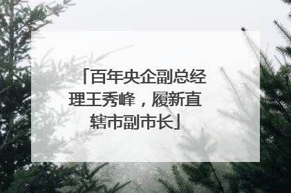 百年央企副总经理王秀峰，履新直辖市副市长