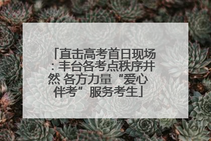 直击高考首日现场：丰台各考点秩序井然 各方力量“爱心伴考”服务考生