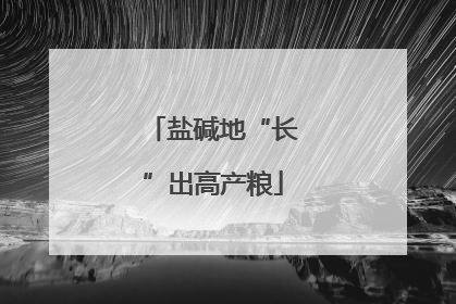 盐碱地“长”出高产粮