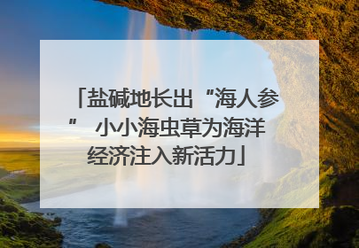 盐碱地长出“海人参” 小小海虫草为海洋经济注入新活力