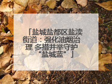 盐城盐都区盐渎街道：强化油烟治理 多措并举守护“盐城蓝”