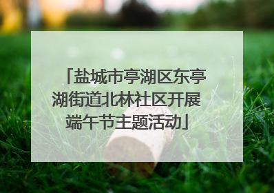 盐城市亭湖区东亭湖街道北林社区开展端午节主题活动