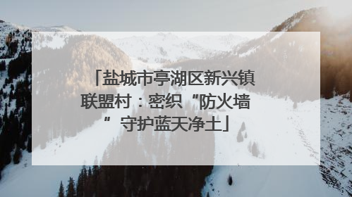 盐城市亭湖区新兴镇联盟村：密织“防火墙”守护蓝天净土