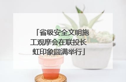 省级安全文明施工观摩会在联投长虹印象圆满举行