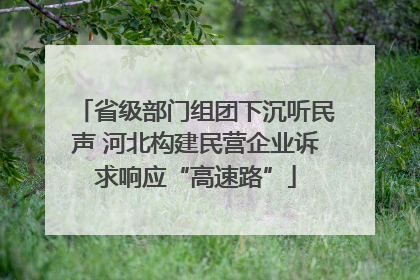 省级部门组团下沉听民声 河北构建民营企业诉求响应“高速路”