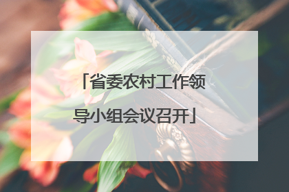 省委农村工作领导小组会议召开