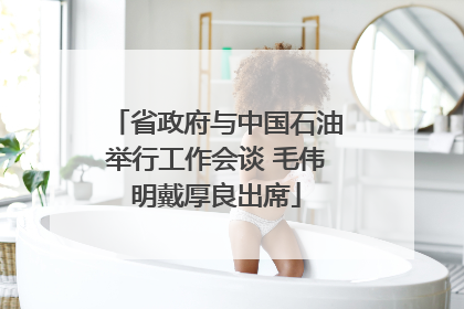省政府与中国石油举行工作会谈 毛伟明戴厚良出席