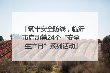筑牢安全防线，临沂市启动第24个“安全生产月”系列活动