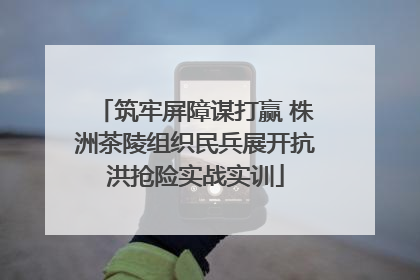 筑牢屏障谋打赢 株洲茶陵组织民兵展开抗洪抢险实战实训