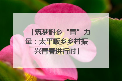 筑梦斛乡“青”力量：太平畈乡乡村振兴青春进行时