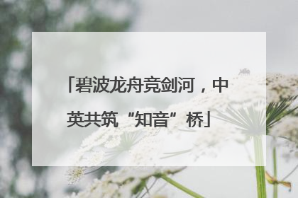 碧波龙舟竞剑河，中英共筑“知音”桥