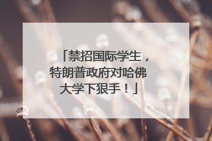 禁招国际学生,特朗普政府对哈佛大学下狠手!