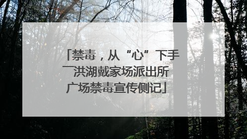 禁毒，从“心”下手――洪湖戴家场派出所广场禁毒宣传侧记