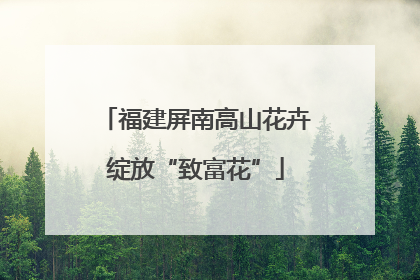 福建屏南高山花卉绽放“致富花”