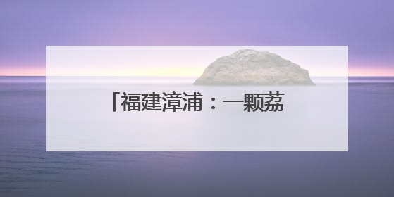福建漳浦：一颗荔枝背后的支农故事