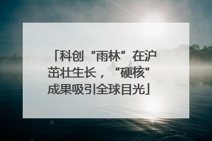 科创“雨林”在沪茁壮生长，“硬核”成果吸引全球目光