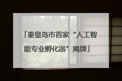 秦皇岛市首家“人工智能专业孵化器”揭牌