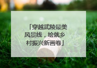 穿越武陵最美风景线，绘就乡村振兴新画卷