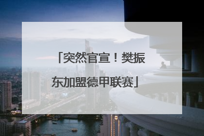突然官宣！樊振东加盟德甲联赛