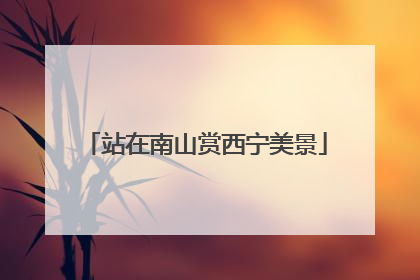 站在南山赏西宁美景